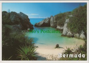 Bermuda Postcard - Jobsons' Cove, Bermuda   RR12255