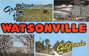 H73/ Watsonville California Postcard Linen 4View Hotel Greetings from131