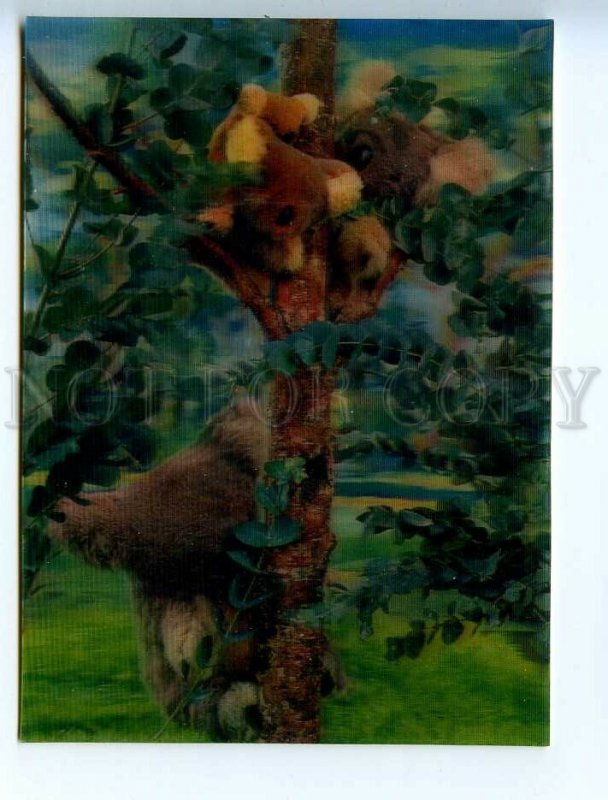 454040 marsupial koala bear lenticular 3D postcard