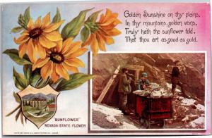 Mining Scene, Nevada State Flower Sunflower Vintage Postcard I05