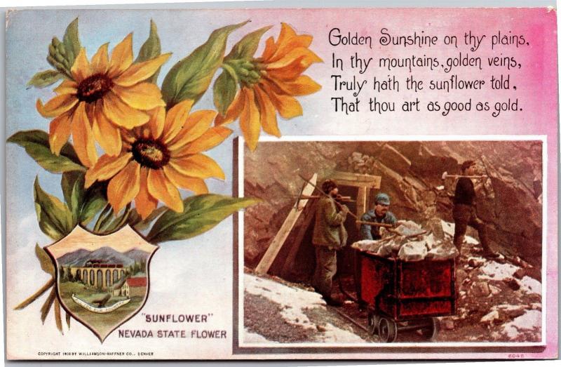 Mining Scene, Nevada State Flower Sunflower Vintage Postcard I05