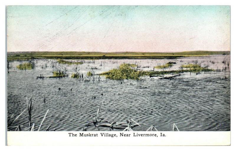 Early 1900s The Muskrat Village near Livermore, IA Postcard *5F32