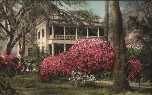 Summerville South Carolina SC Fairoaks Albertype Vintage Postcard