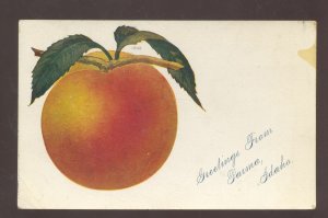 GREETINGS FROM PARMA IDAHO APPLE FARMING VINTAGE ADVERTISING POSTCARD