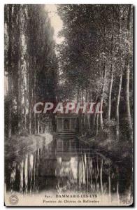 Dammarie les Lys - Fountain Chateau Bellombre - Old Postcard