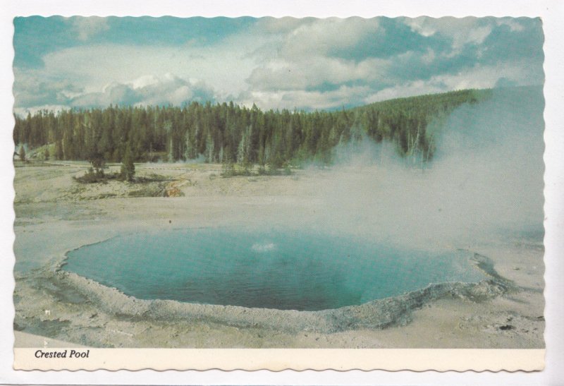 Crested Pool, Upper Geyser Basin, Yellowstone, unused Postcard