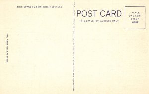 US    PC2669  CAFE DE LA PAIX, RONEY PLAZA, MIAMI BEACH, FLORIDA