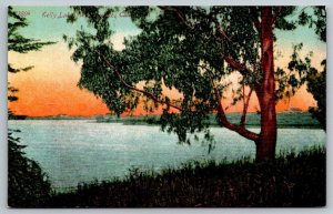 Vintage California Postcard - Kelly Lake - Watsonville