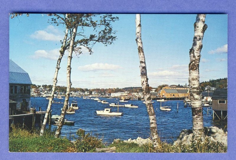 Nice Boothbay Harbor, Maine/ME Postcard, Busy Harbor Scene