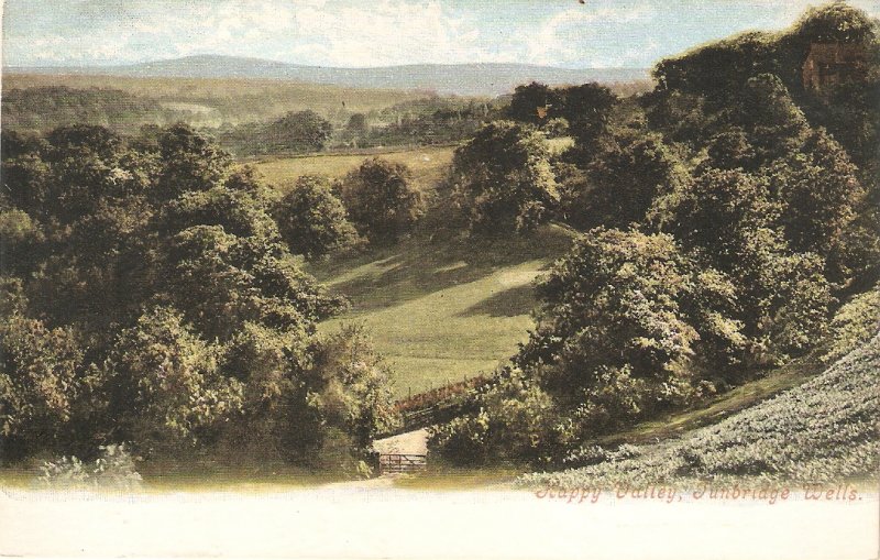 Happy Valley. Tunbridge Wells. England  Old vintage antique English postcard