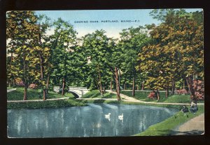 Portland, Maine/ME Postcard, Swans In Pond In Deering Oaks Park