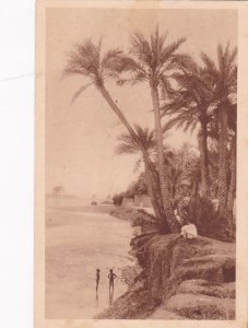 Oasis de Biskra. L'oued a M'Cid., ALGERIA ,1900-1910s ;