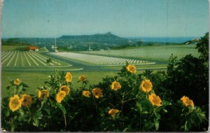 National Memorial Cemetery Honolulu Hawaii Postcard PC522