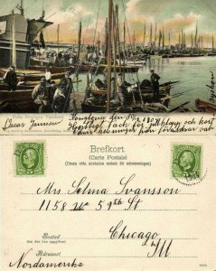 sweden, VARBERG WARBERG, Fiskflotten, Harbour Fishing Boats (1904) Postcard