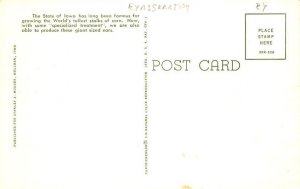 Corn Harvest Iowa, USA Unused 