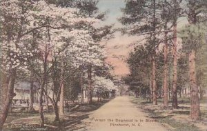 North Carolina Pinehurst When The Dogwood Is In Bloom Albertype