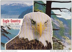 Canada British Columbia Eagle CountryRichmond British Columbia