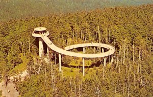 Clingman's Dome 6643 Cherokee, North Carolina NC