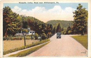 Mosquito Valley Road near Williamsport - Williamsport, Pennsylvania PA  