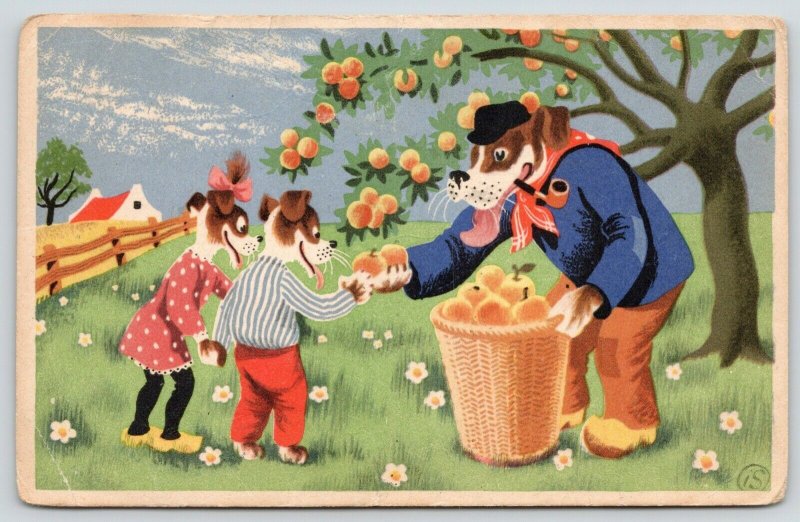 Artist~Dressed Dogs~Picking Fruit~How Do You Like Them Apples, Kids~c1915 