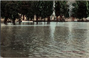 View of Shore from Water, Lake Ethel, Nampa ID c1909 Vintage Postcard M42