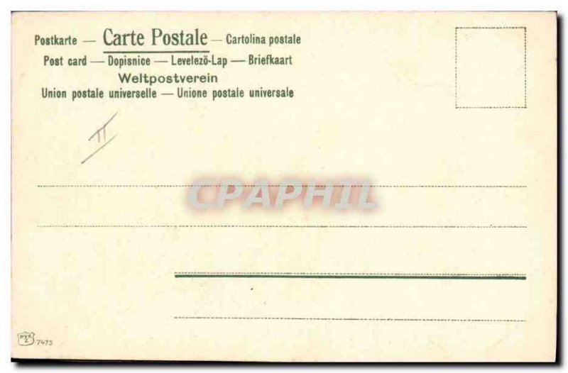 Postcard Old Fox Hunting Dog