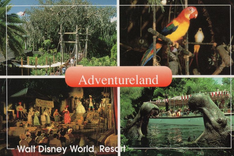 Adventureland Walt Disney Hippopotamus Parrots Treehouse Postcard