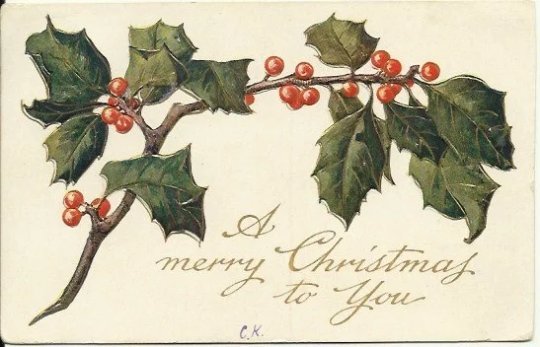 Evergreen Holly Branch 1908 Christmas Greetings Vintage Postcard Merry Christmas