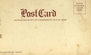 NEW YEARS GREETING c1907 pretty woman Postcard year