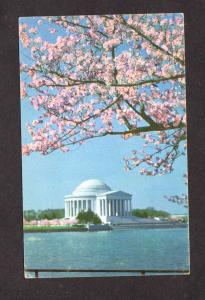 DC Cherry Blossom Jefferson Memorial Washington DC Postcard Cherry Tree