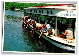 Postcard FL Florida's Silver Springs Continental View Card Feeding The Fish