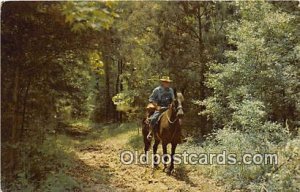 Horse Natchez Trace Parkway Horseman, Nashville, Tennessee Unused 