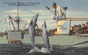 Jumping Porpoises at Feeding Time Marine Studios - Marineland, Florida FL  