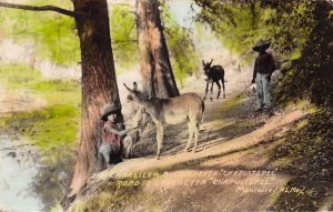 Nuevo Leon Mexico Road to Cadereyta Chapultepec Tinted Real Photo PC AA68698