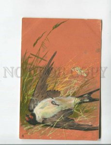 471739 Dead Bird SWALLOW Thumbelina Fairy Tale postcard TUCK #6098 Embossed