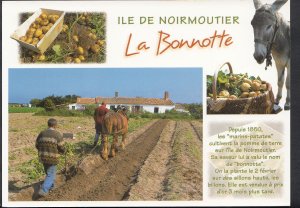 France Postcard - Ile De Noirmoutier - La Bonnotte  B2240