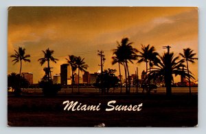 Miami Sunset Biscayne Bay Tropical Miami Skyline FL Florida Postcard PM Cancel