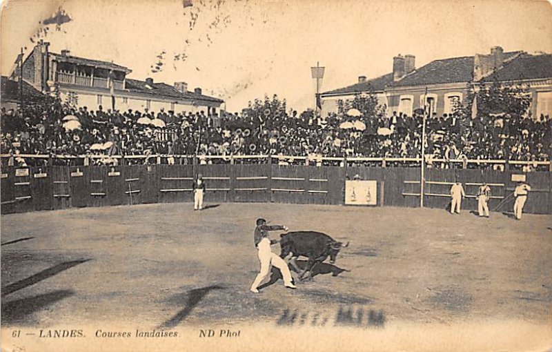 Landes, Bullfighting 1914 