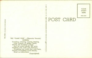 Postcard Florida's Flame Vine Bigonoia Venusta Poem Unposted Chrome 1498