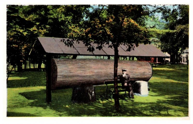 Wisconsin Chippewa Falls , Irvine Park  Monument to Timber Industry