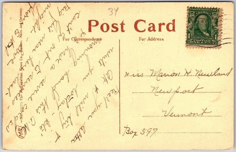 Duck Pond Forest Park Landscape Water Lined by Trees Springfield MA Postcard