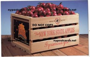 Apples, NY State Fair