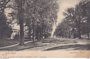 LITCHFIELD, Connecticut, 1900-10's; South Street