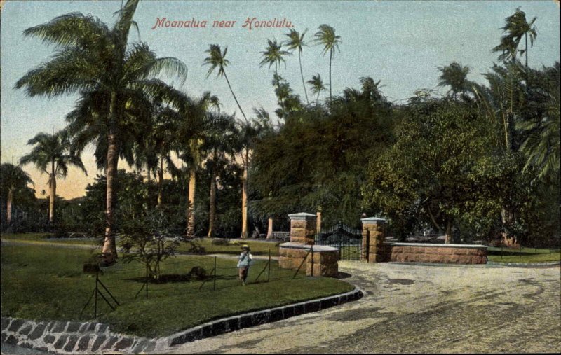 Honolulu Hawaii HI Maonalua Indigenous Boy c1910 Vintage Postcard