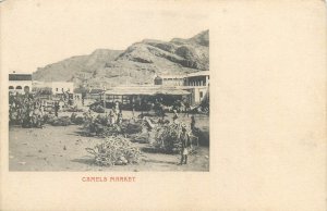 Africa a typical camels market scene vintage postcard 