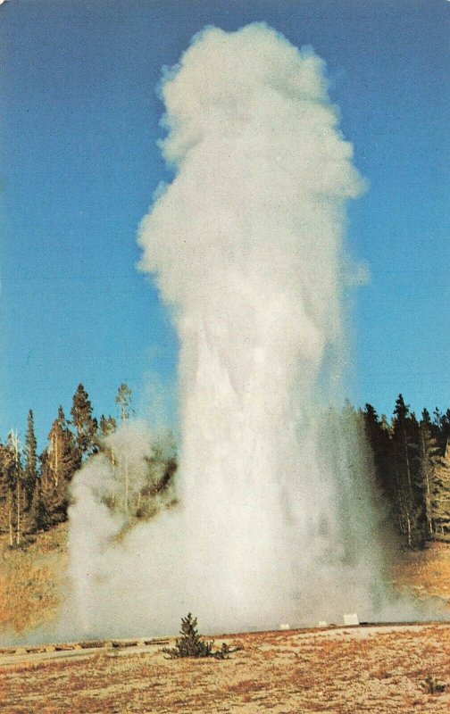 Postcard Grand Geyser Yellowstone Natl Prk Fountain Geyser VPC0.