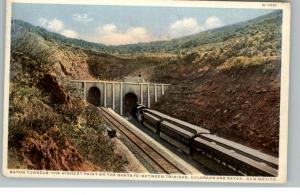 Raton NM Train c1910 Postcard