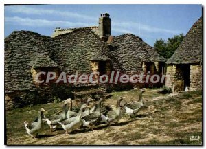 Modern Postcard At the heart of Black Perigord Bories dry stone cabins