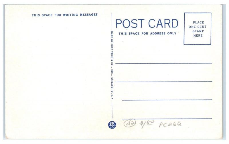 Early 1900s Lawrence Park, Kalispell, MT Postcard