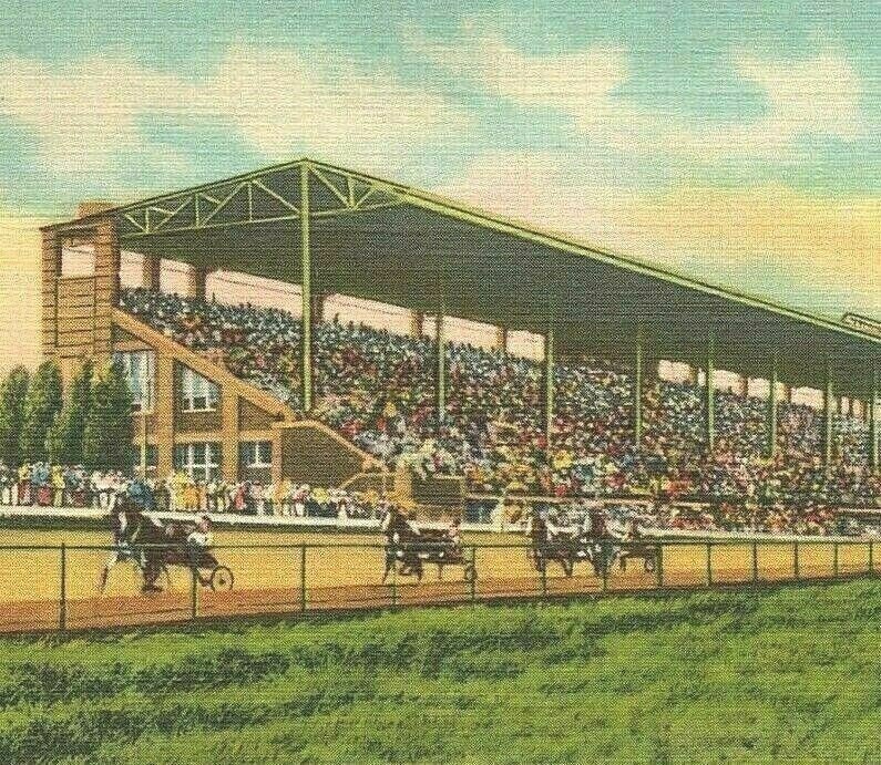 Harness Horse Racing Amphitheatre Fair Grounds Springfield Illinois Postcard